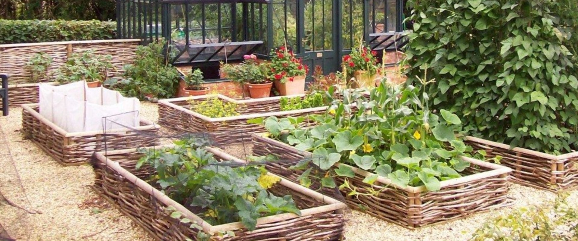 How to Plan and Design a Beautiful Vegetable Garden