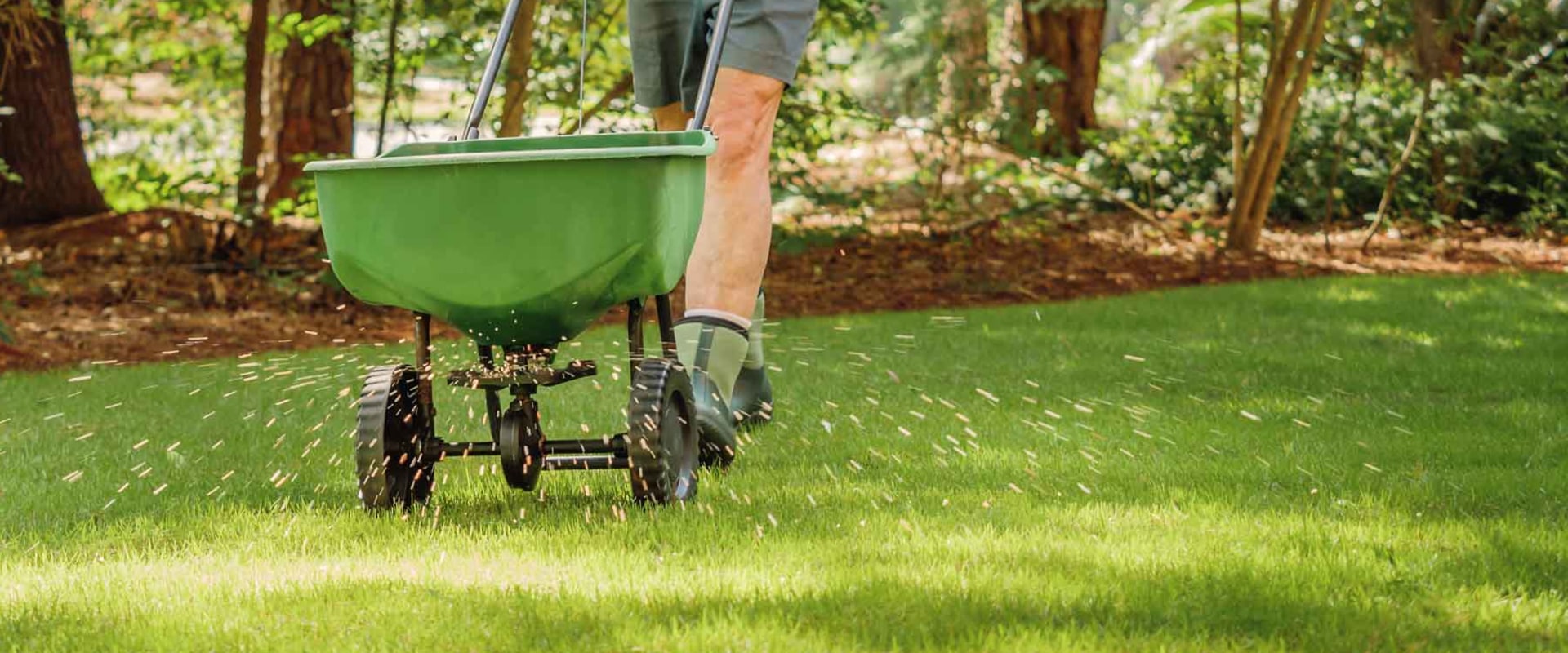 Tree and Shrub Fertilization Options: A Comprehensive Guide for Home Remodeling and Lawn Care