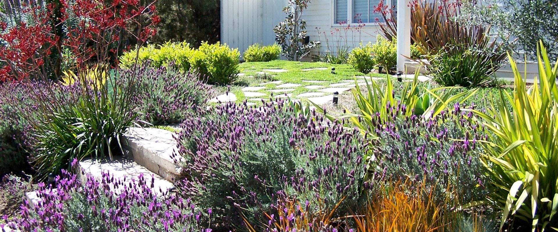 Choosing the Right Plants for Your Garden: Tips and Trends for Home Remodeling and Lawn Care