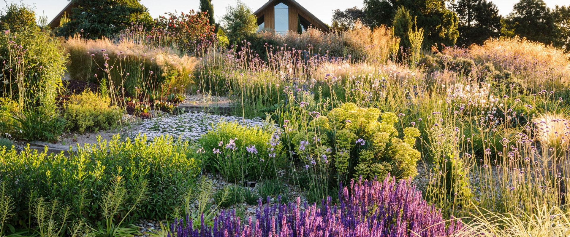 Creating a Sustainable Garden: Tips, Trends, and Design Ideas