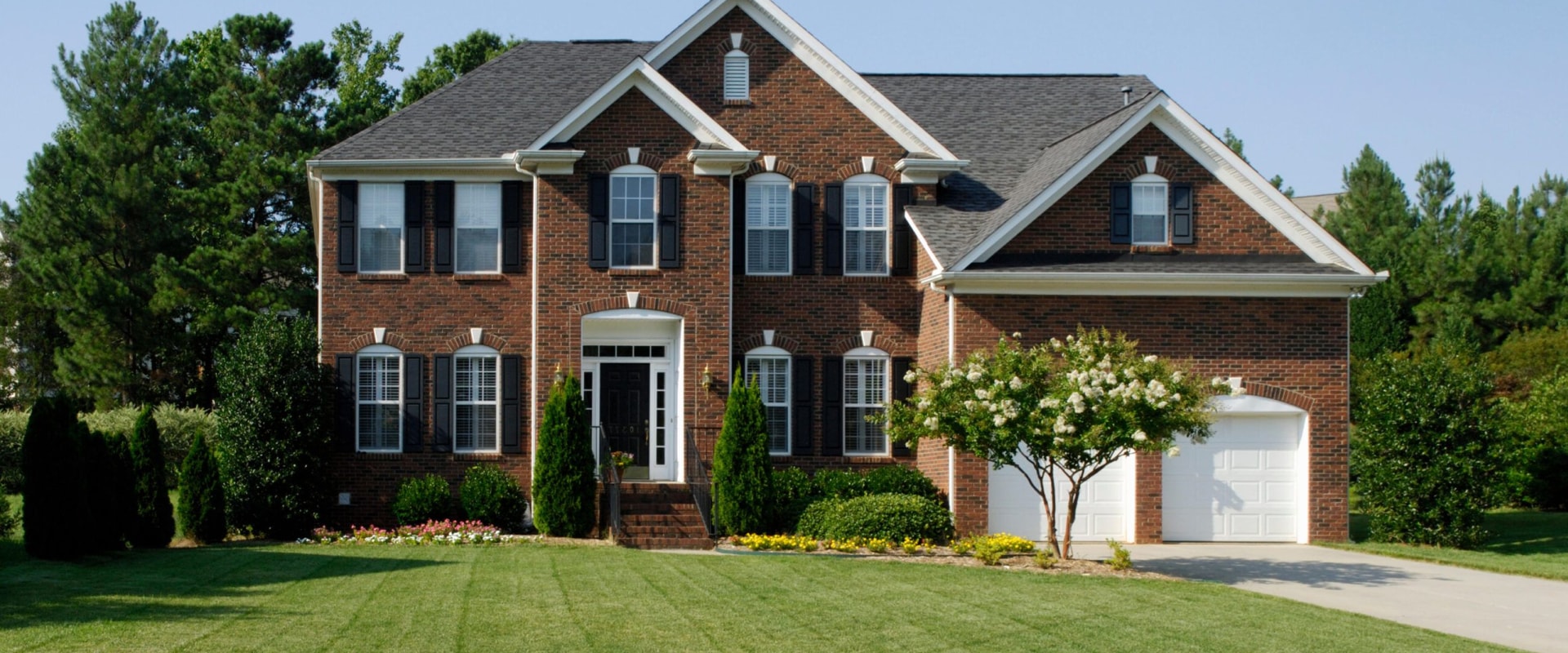Organic Lawn Care Options: How to Improve Your Home and Garden
