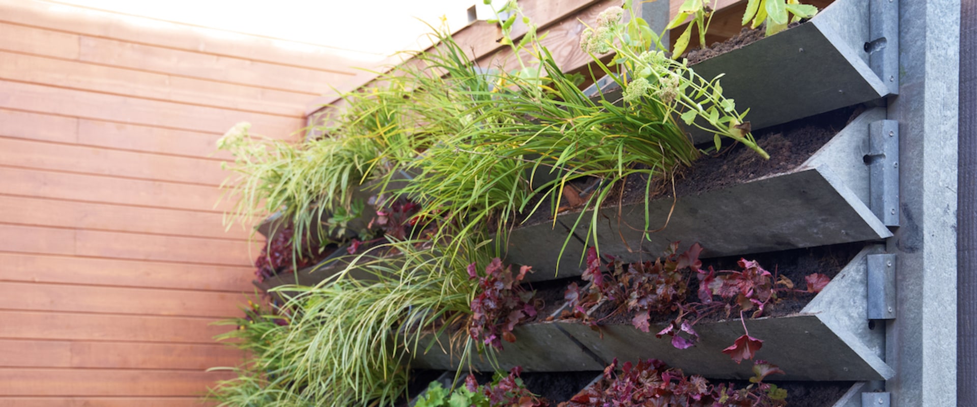 Creating a Vertical Garden: Transforming Your Home and Garden with This Latest Trend