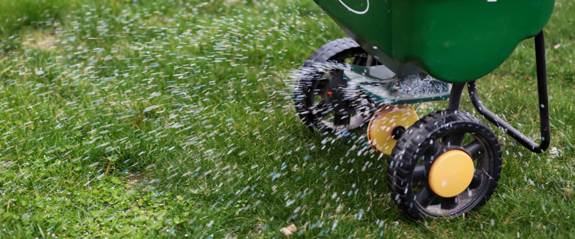 Fertilization and Weed Control: How to Improve Your Home and Garden