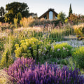 Creating a Sustainable Garden: Tips, Trends, and Design Ideas