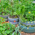 Repurposing Household Items as Planters: Creative Ideas for Home and Garden Improvement
