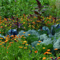 Companion Planting for Pest Control: A Complete Guide to Improve Your Home and Garden