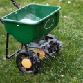 Fertilization and Weed Control: How to Improve Your Home and Garden