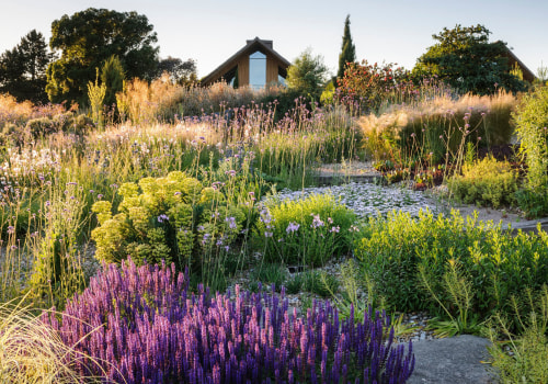 Creating a Sustainable Garden: Tips, Trends, and Design Ideas