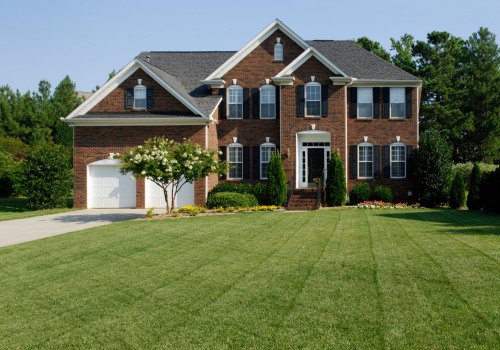 Organic Lawn Care Options: How to Improve Your Home and Garden