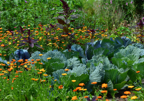 Companion Planting for Pest Control: A Complete Guide to Improve Your Home and Garden