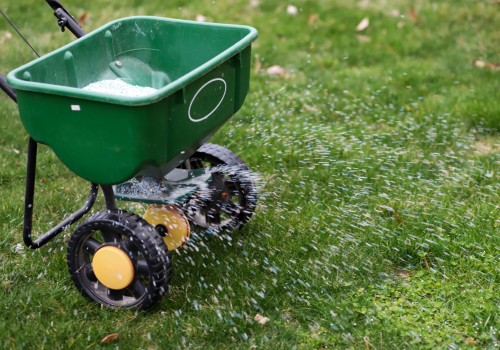 Fertilization and Weed Control: How to Improve Your Home and Garden